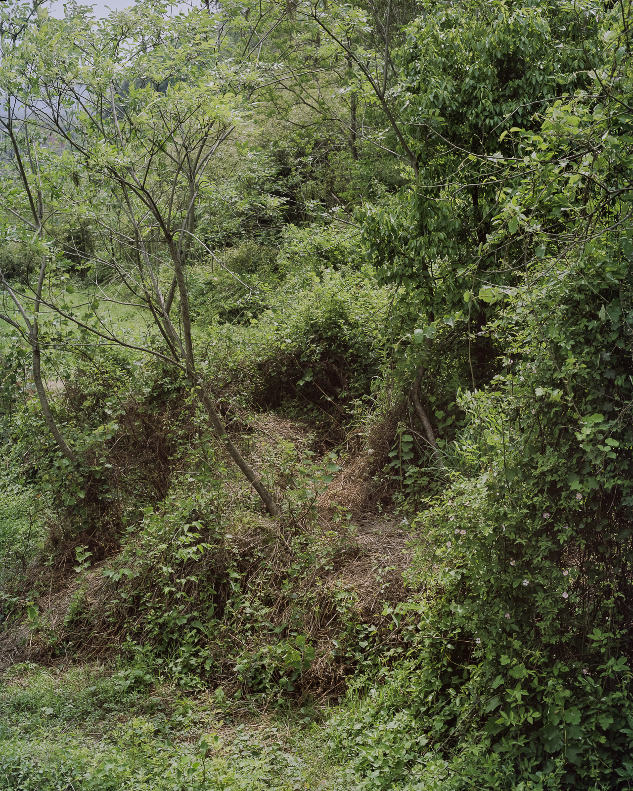 无题 image 6