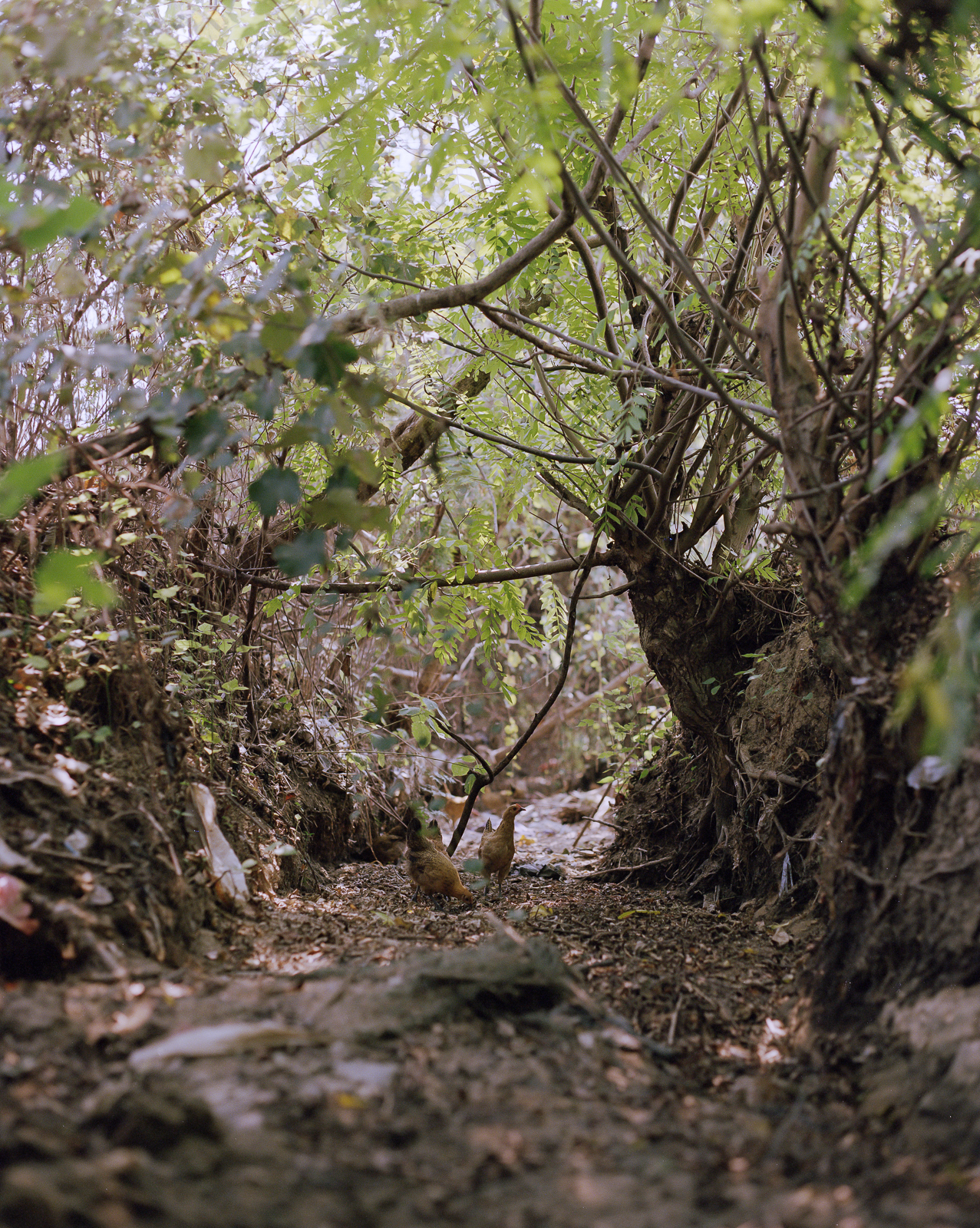 无题 image 7