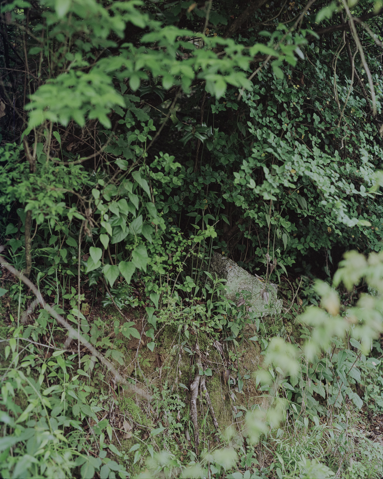 无题 image 8