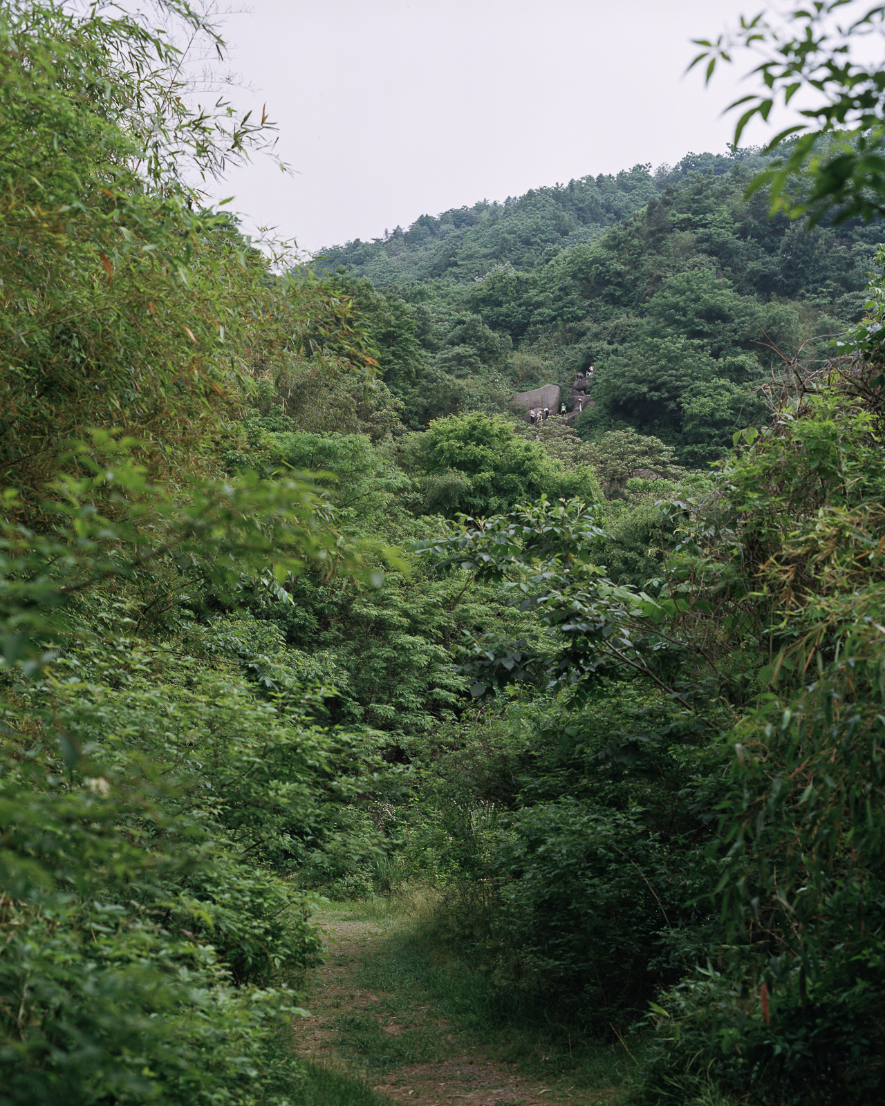 无题 image 9