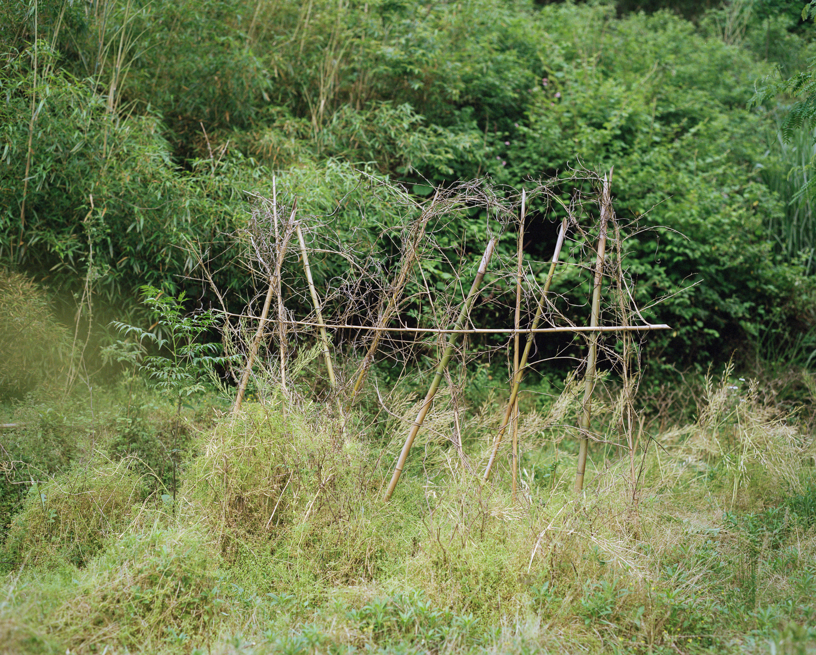 无题 image 11
