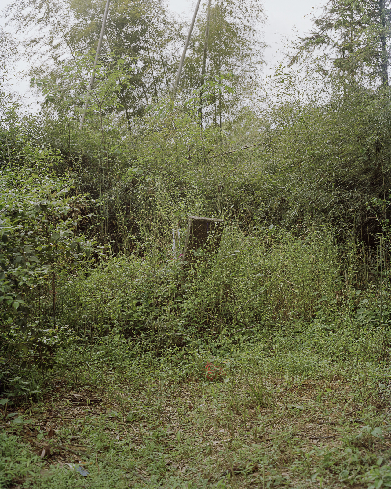 无题 image 12