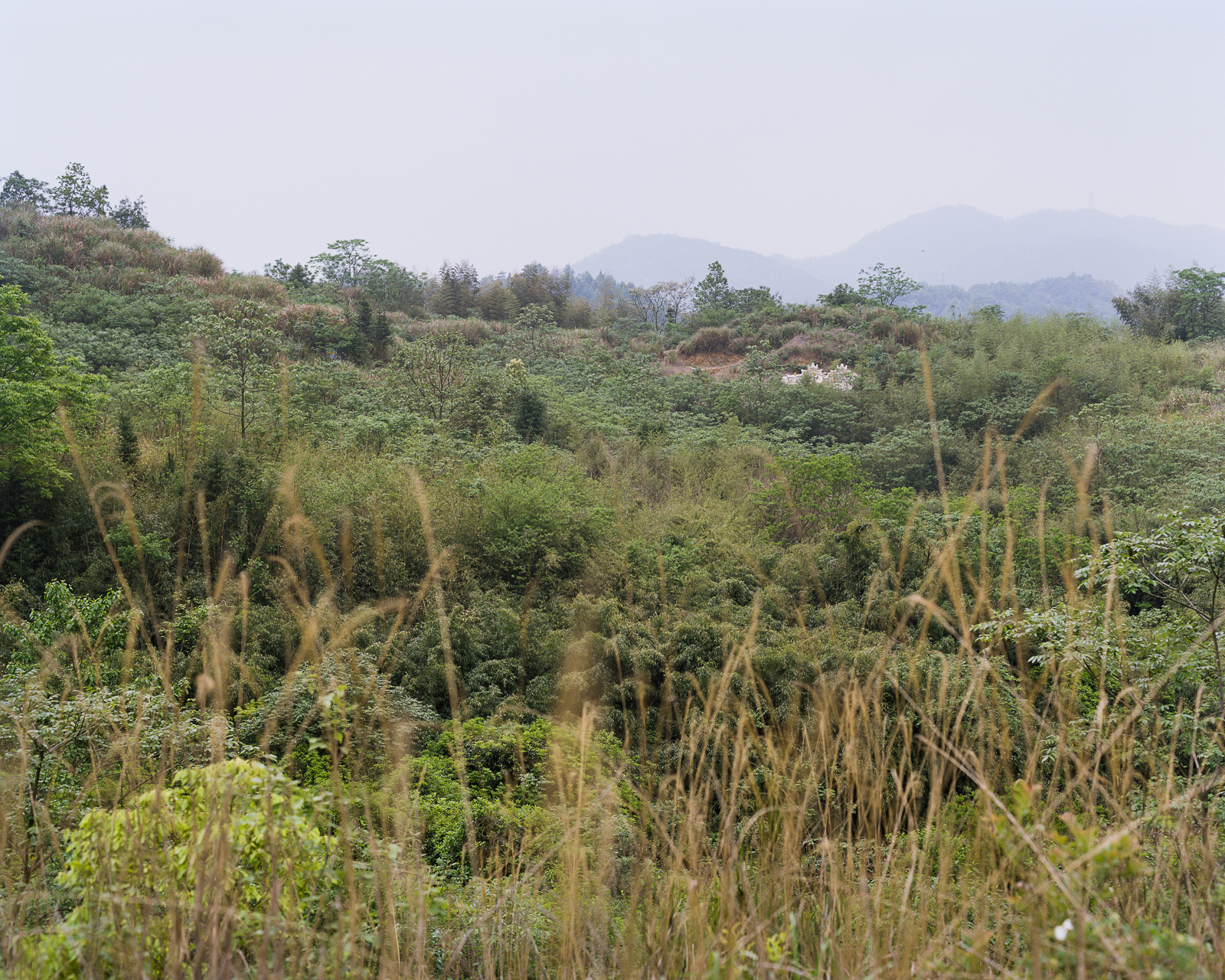 无题 image 14