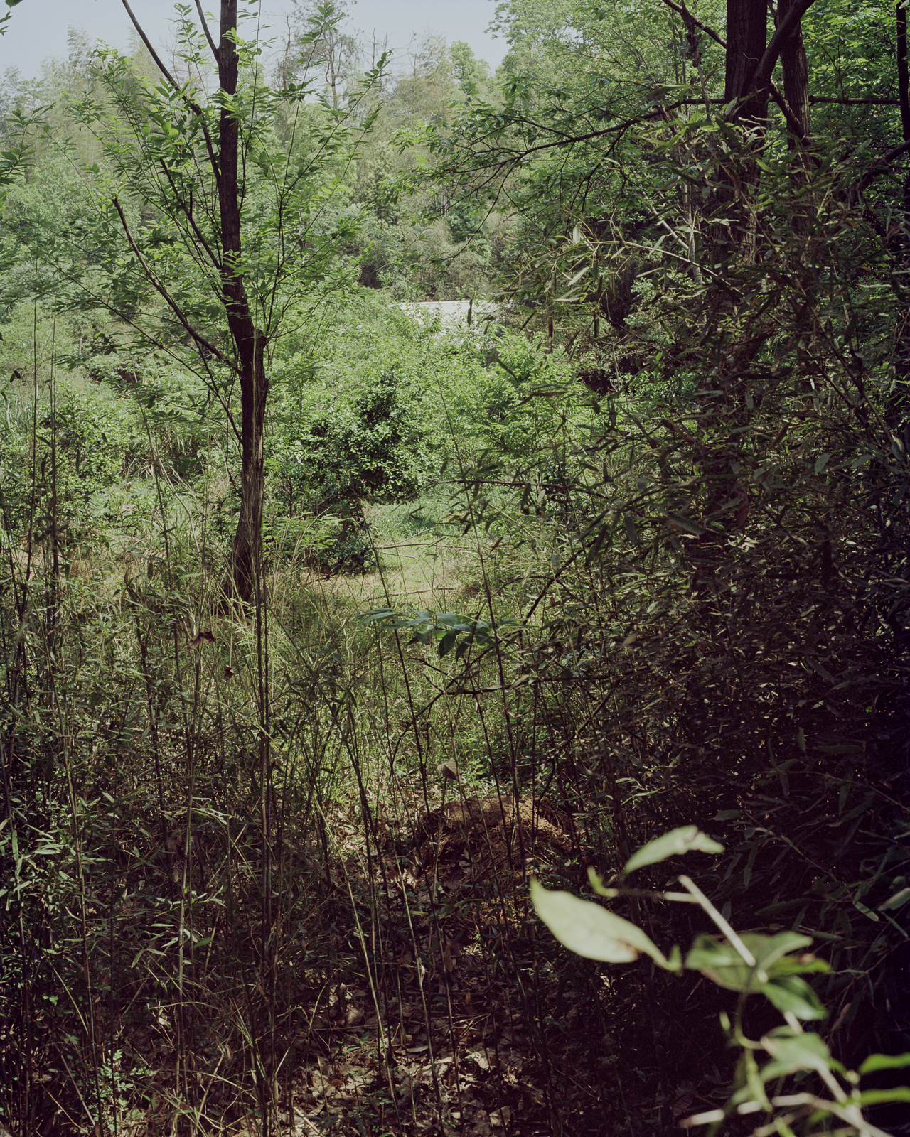无题 image 15