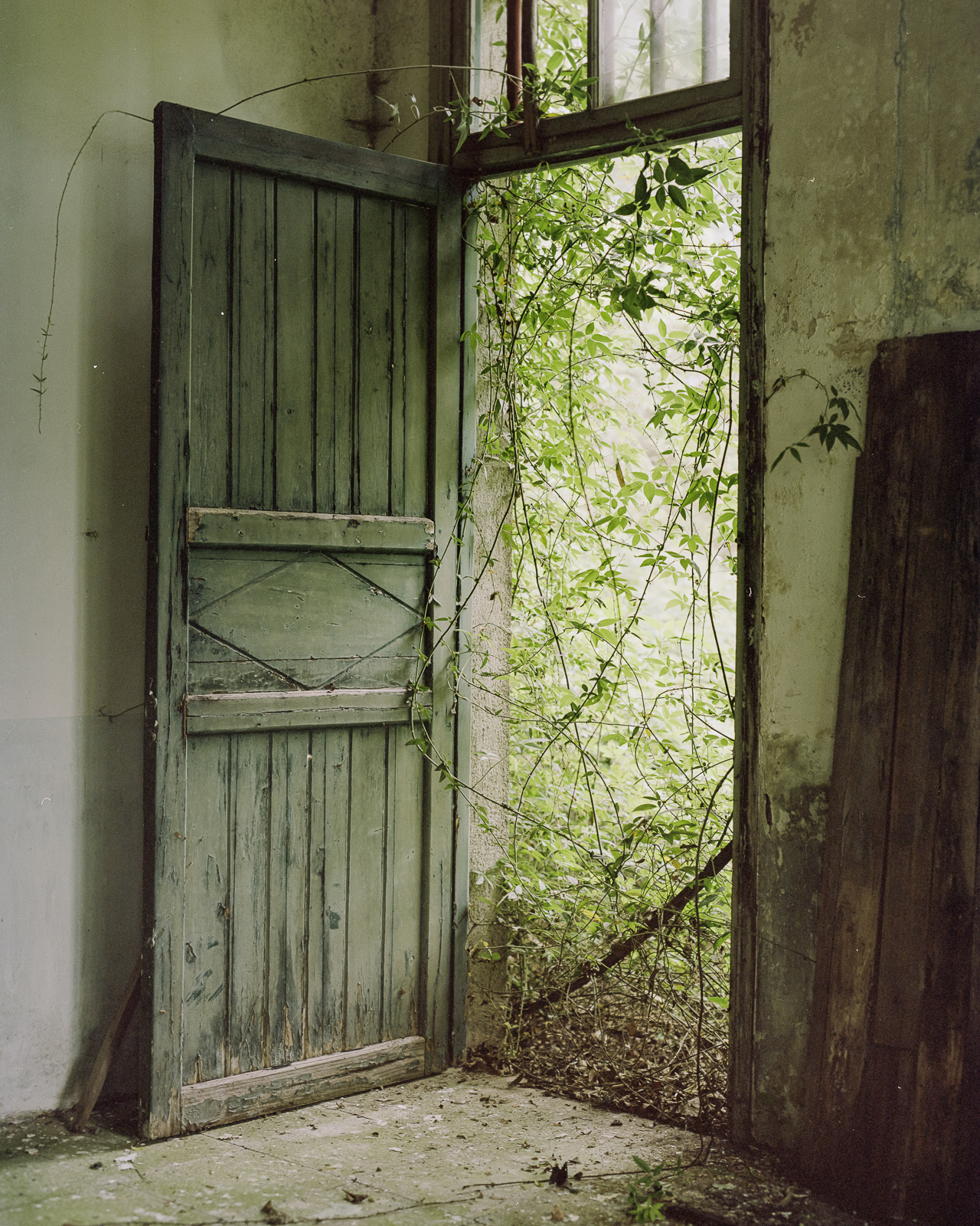 无题 image 16