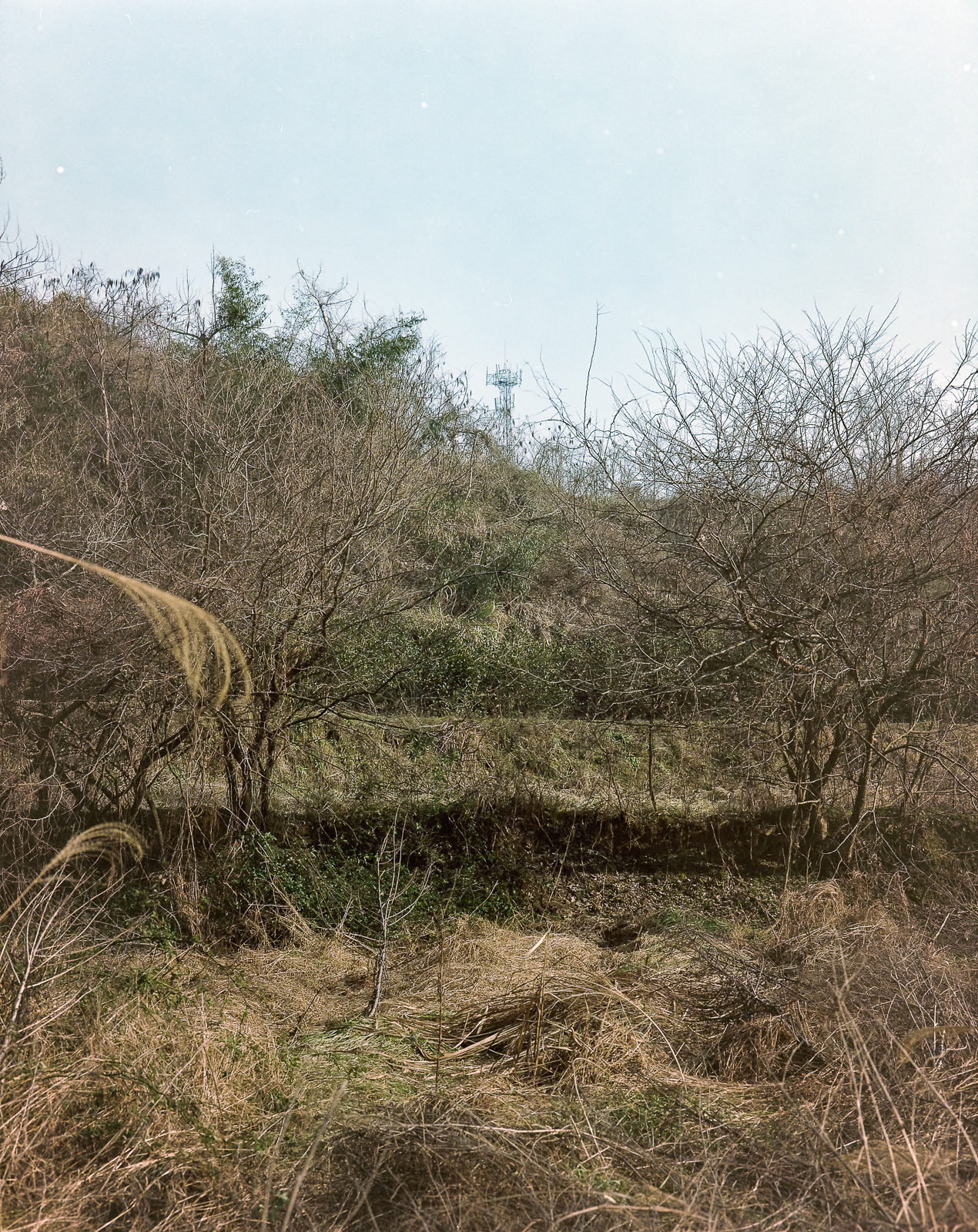 无题 image 17
