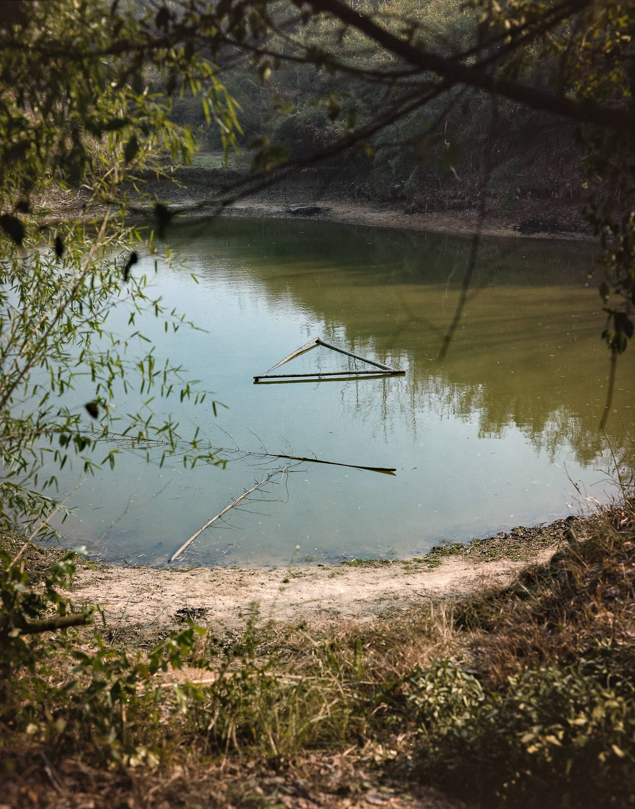 无题 image 21
