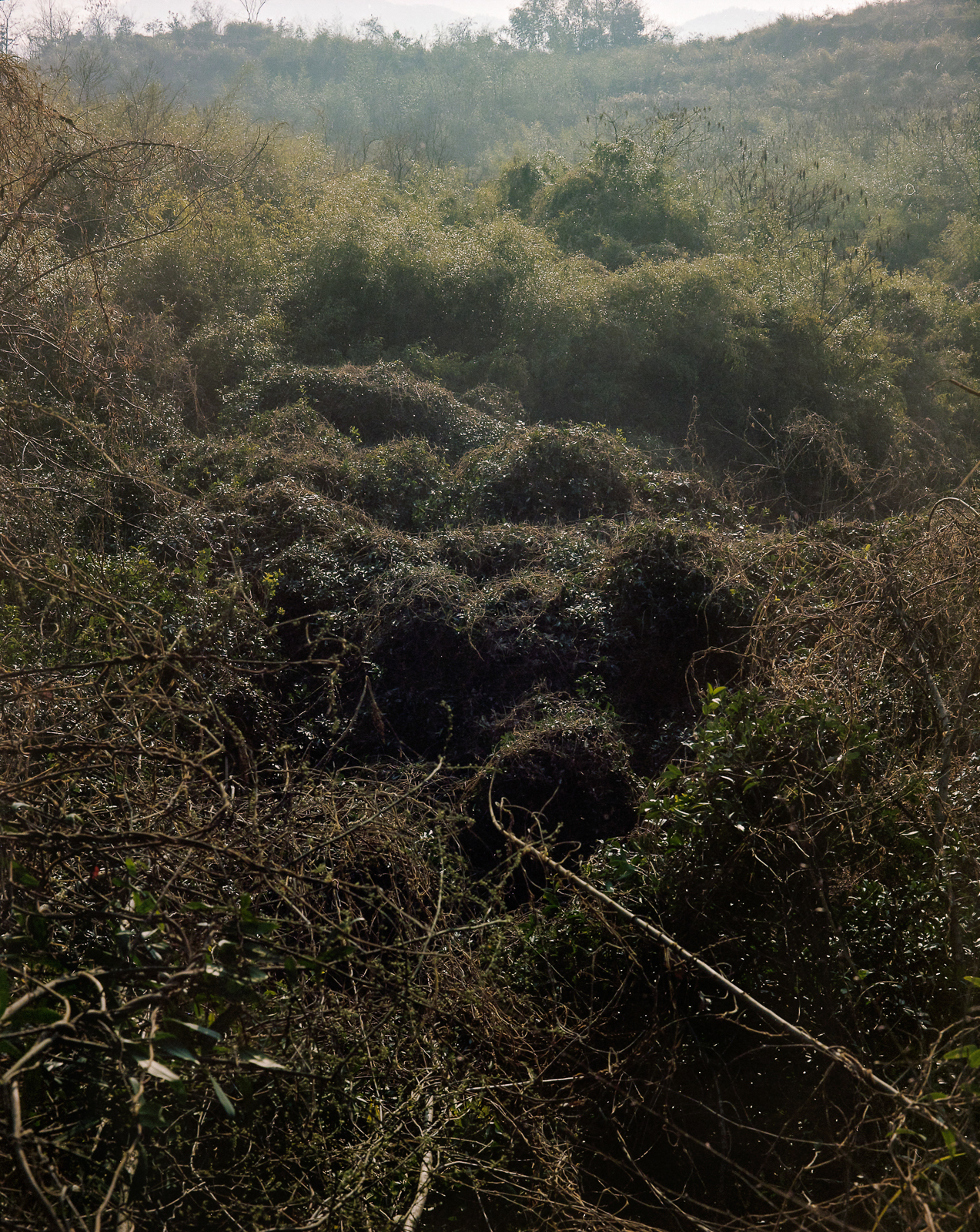 无题 image 23