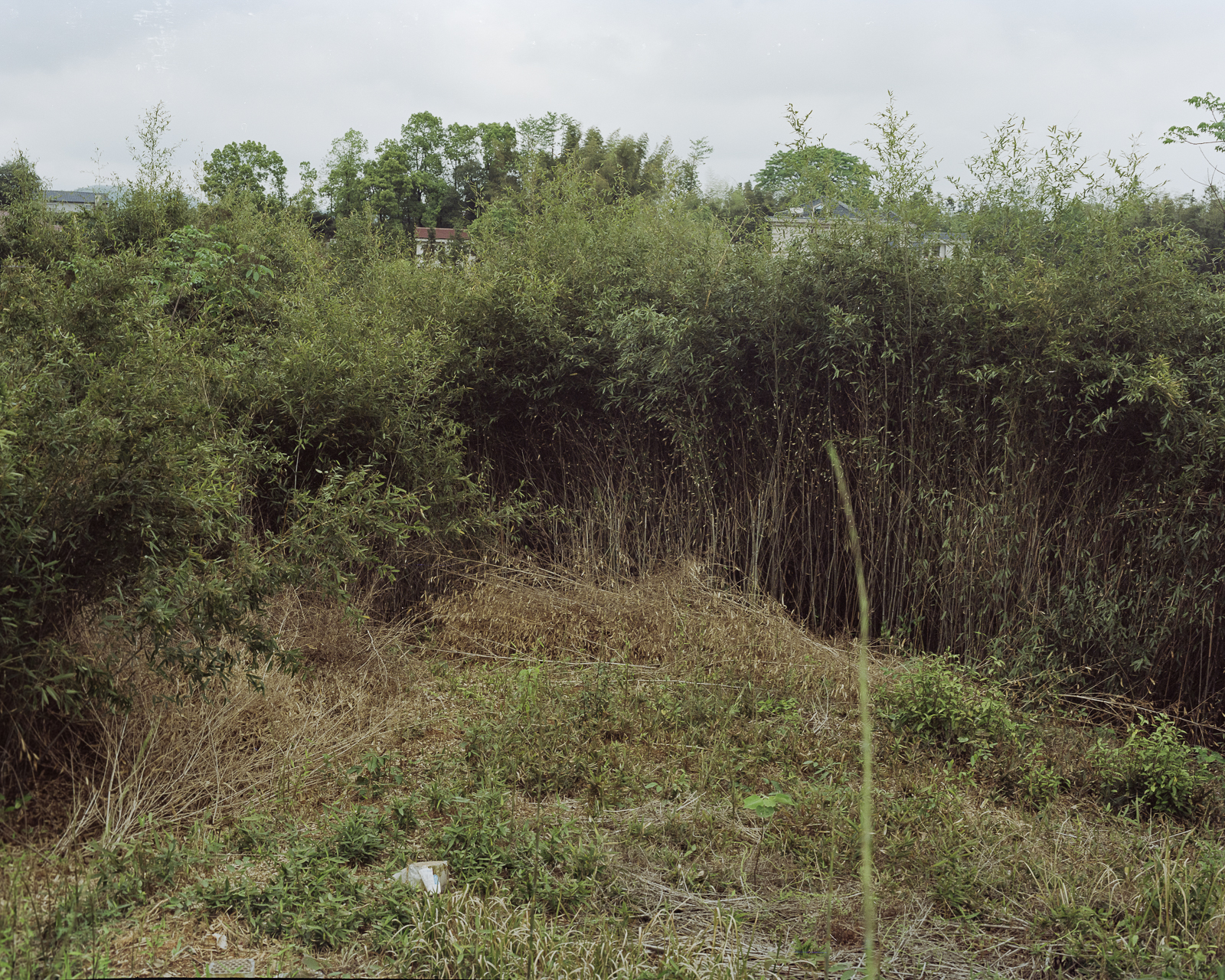 无题 image 29