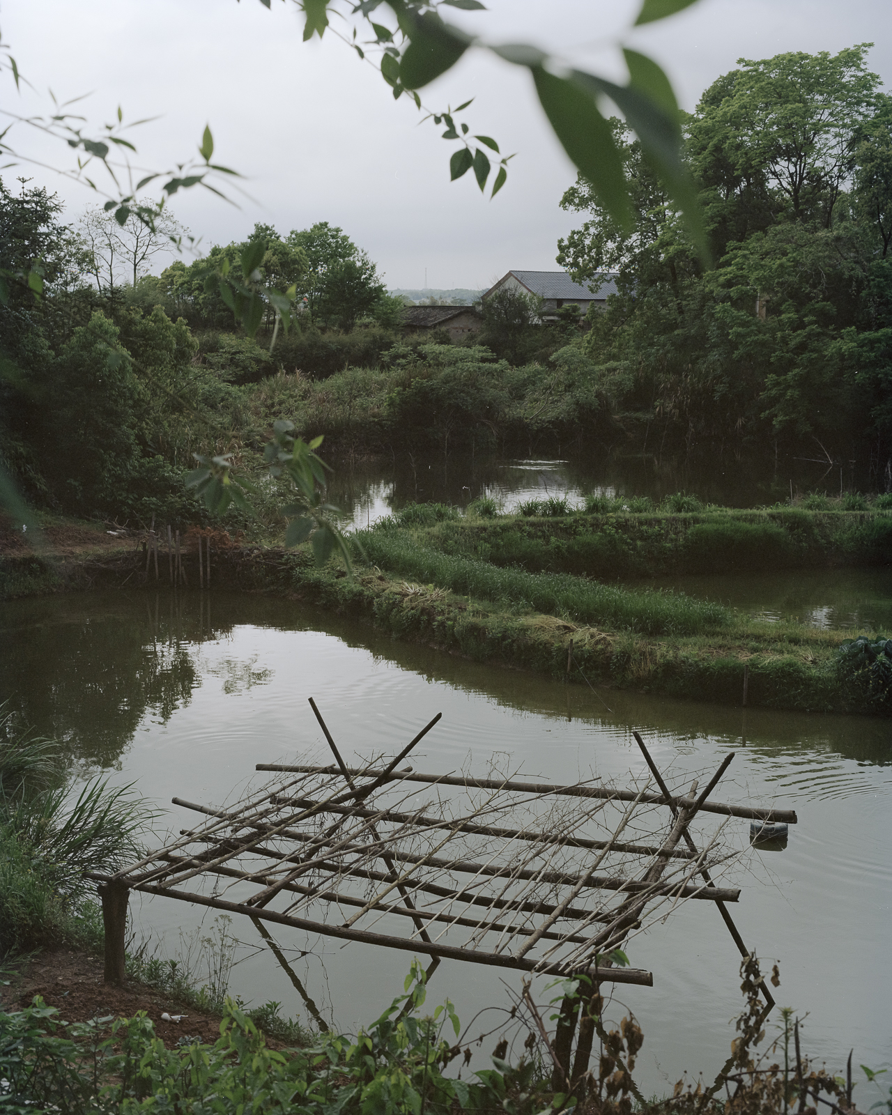 无题 image 30