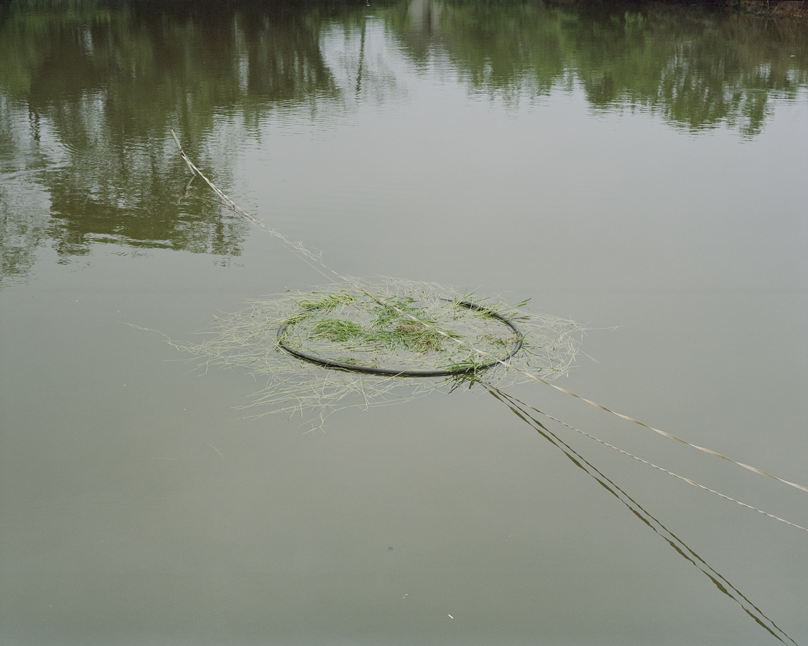 无题 image 31